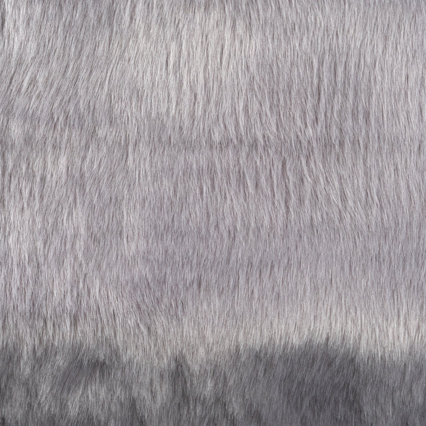Dove Grey – Teddy