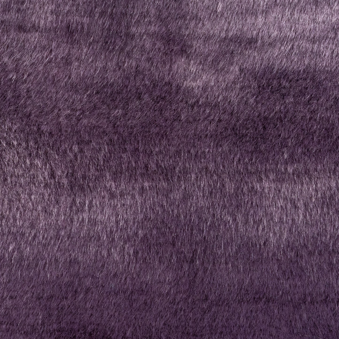 Wisteria – Beaver
