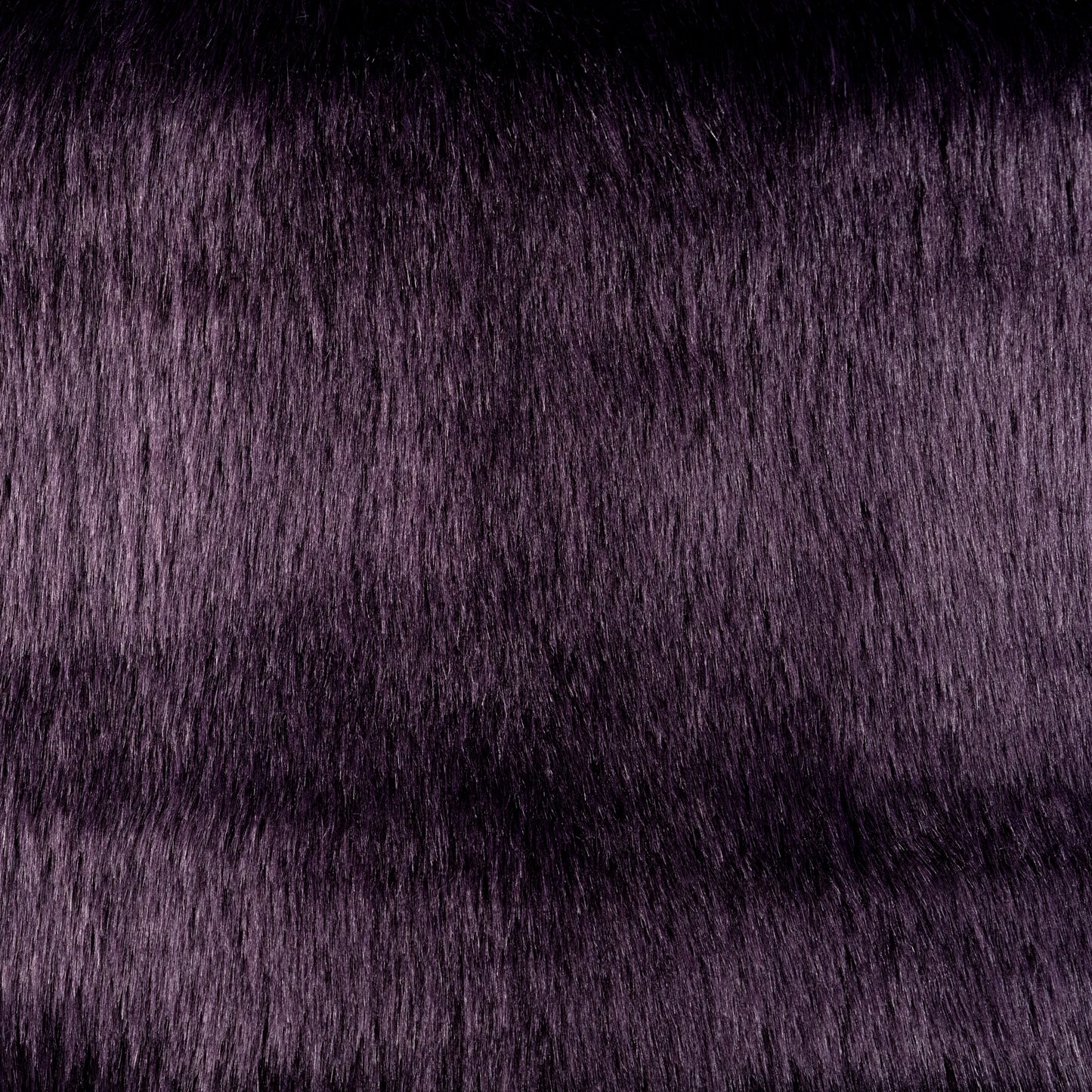 Dark Plum – Teddy