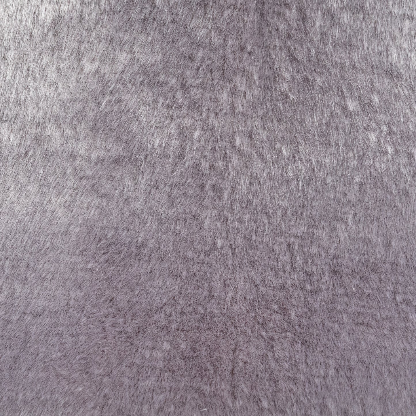 Dove Grey – Beaver