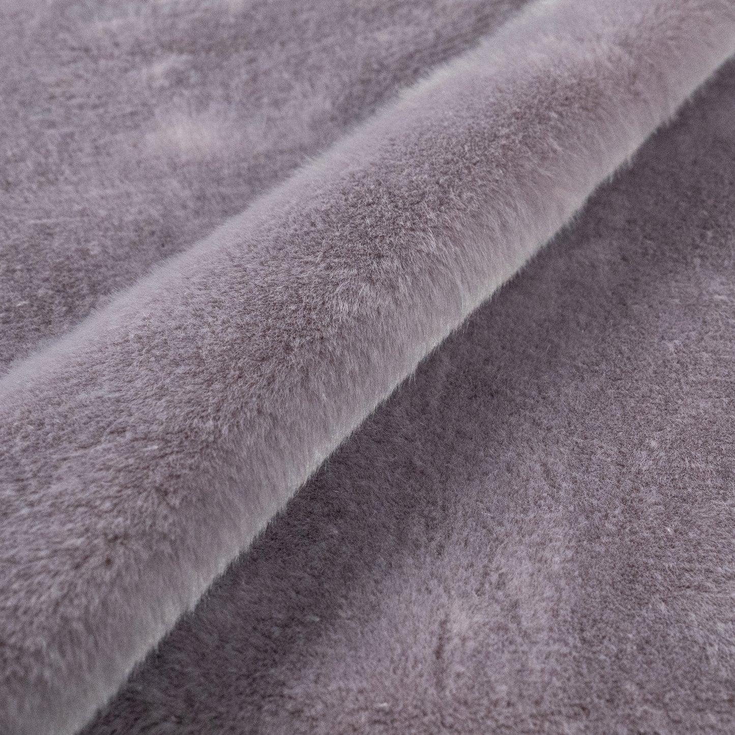 Dove Grey – Beaver